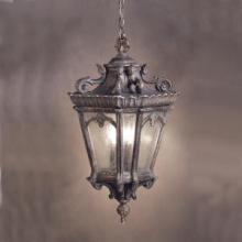  9855LD - Outdoor Pendant 3Lt