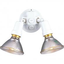  P5207-30 - Two-Light Adjustable Swivel Flood Light