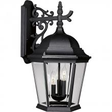  P5690-31 - Welbourne Three-Light Wall Lantern