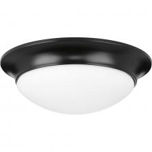  P350147-031 - Two-Light 14" Etched Glass Flush Mount