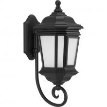  P6631-31MD - Crawford Collection Black One-Light Medium Wall Lantern