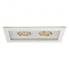  MT-216-WT/WT - Low Voltage Multiple Two Light Trim