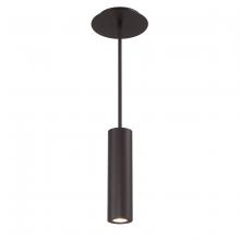  PD-W36610-BZ - CALIBER Outdoor Pendant Light