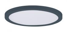  57694WTBK - Chip-Flush Mount