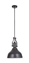  P550OB1 - 1 Light Pendant w/Metal Shade