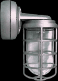  VXBR2F32-3/4 - Vaporproof, 2400 lumens, CFL Bracket 32W Qt 3/4, with Glass globe, cast guard