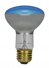  S2851 - 75 Watt R25 Incandescent; Grow; 2000 Average rated hours; Medium base; 120 Volt