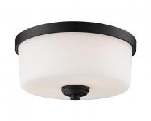  220F2 - 2 Light Flush Mount