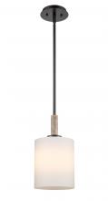  442-1S-BK-G4421-7 - Paladin - 1 Light - 7 inch - Matte Black - stem hung - Mini Pendant