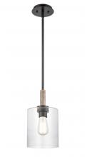  442-1S-BK-G4422-7 - Paladin - 1 Light - 7 inch - Matte Black - stem hung - Mini Pendant