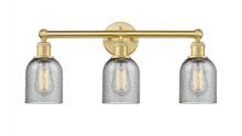  616-3W-SG-G257 - Caledonia - 3 Light - 23 inch - Satin Gold - Bath Vanity Light