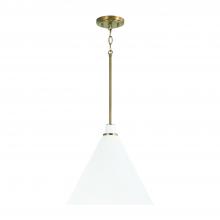  350112AW - 1-Light Pendant