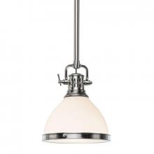  2621-SN - 1 LIGHT PENDANT