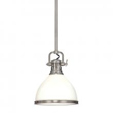  2622-SN - 1 LIGHT PENDANT