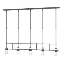  137725-SKT-STND-20-ZM0343 - Erlenmeyer 5 Light Pendant