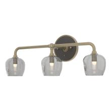  201342-SKT-84-14-YL0709 - Ume 3-Light Curved Arm Bath Sconce