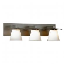  206603-SKT-07-GG0242 - Wren 3 Light Sconce