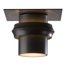  364903-SKT-14 - Twilight Dark Sky Friendly Outdoor Semi-Flush