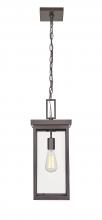  42607-PBZ - Barkeley 1-Light Outdoor Hanging Lantern Powder Coated Bronze