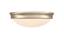  5223-MG - 2-Light Flushmount Ceiling Light Modern Gold