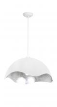  P1915-736 - Eclos - 1 Lt Pendant