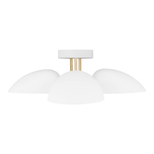  EF1023MWT - Jane Semi-Flush Mount