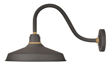  10443MR - Medium Gooseneck Barn Light