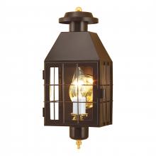  1059-BR-CL - American Heritage 16.5'' High 1-Light Outdoor Sconce - Bronze