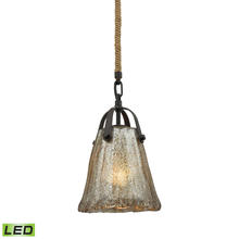  10631/1-LED - MINI PENDANT