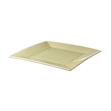  857003 - BOWL - TRAY